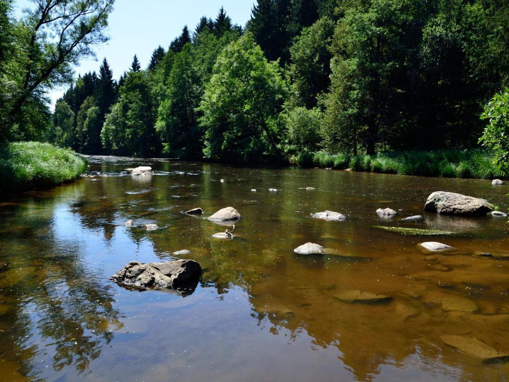 Ferienwohnungen Grill Schönberg Δωμάτιο φωτογραφία